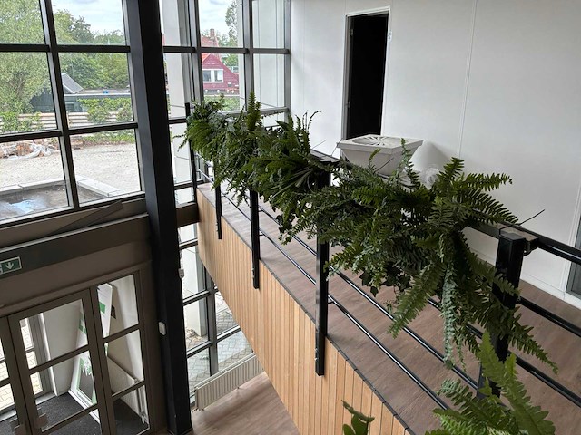 Kunstplanten - afbeelding 3 van  6