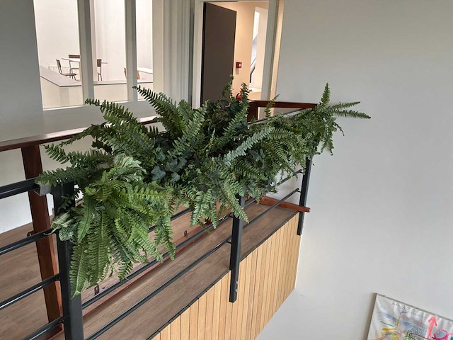 Kunstplanten - afbeelding 4 van  6