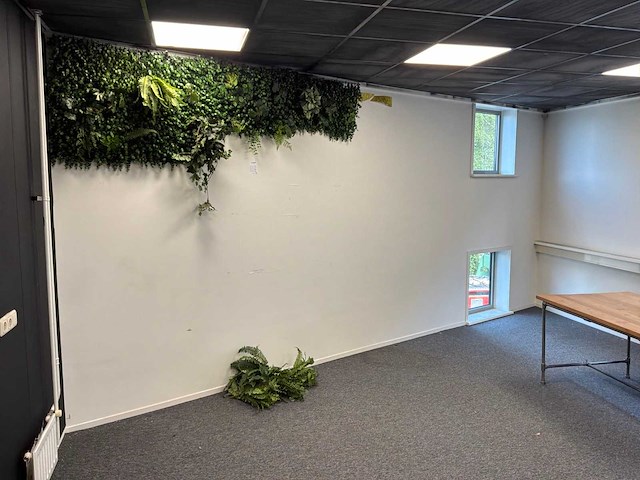 Kunstplanten - afbeelding 6 van  6