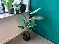 Kunstplanten - afbeelding 2 van  5