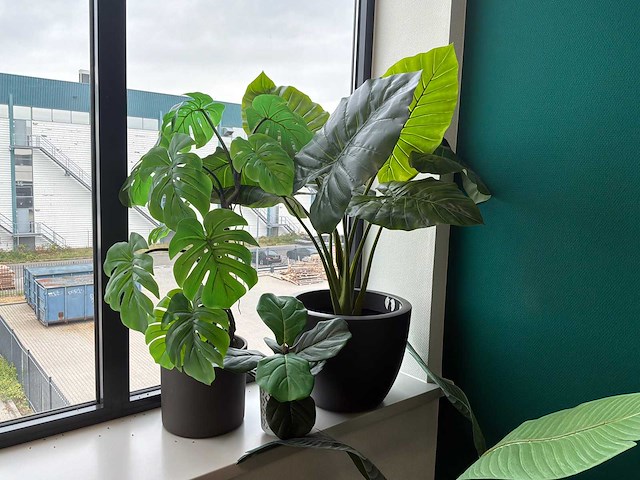 Kunstplanten - afbeelding 3 van  5