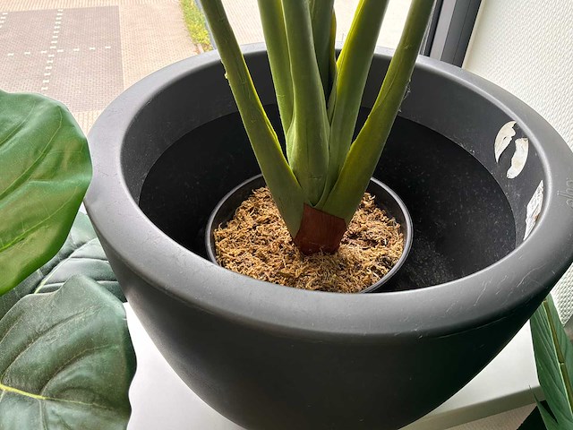 Kunstplanten - afbeelding 4 van  5