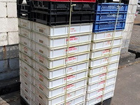 Kunststof bakken en kratten - aantal 55 stuks - afbeelding 1 van  2
