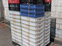 Kunststof bakken en kratten - aantal 55 stuks - afbeelding 2 van  2