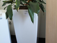Kunststof bloempot. afmeting 40 x 40 x 76 cm. - afbeelding 2 van  2