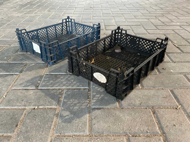 Kunststof champignon kratten (500x) - afbeelding 3 van  6