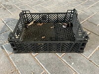 Kunststof champignon kratten (500x) - afbeelding 4 van  6