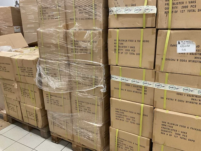 Kunststof fruitblisters 1-vaks (230000x) - afbeelding 5 van  5