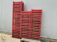 Kunststof gewas kratten (59x) - afbeelding 1 van  10