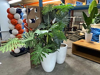 Kunststof kamerplant (2x) - afbeelding 1 van  7