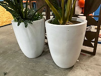 Kunststof kamerplant (2x) - afbeelding 3 van  7