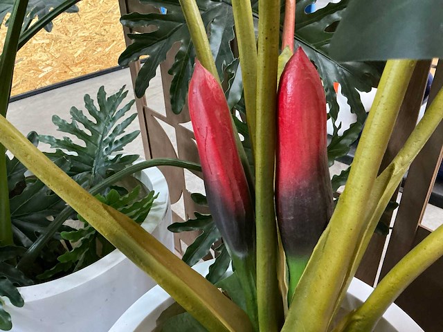 Kunststof kamerplant (2x) - afbeelding 4 van  7