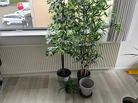 Kunststof plant (3x) - afbeelding 1 van  5