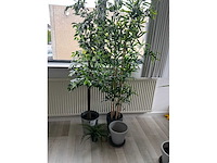 Kunststof plant (3x) - afbeelding 2 van  5