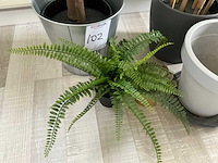 Kunststof plant (3x) - afbeelding 3 van  5