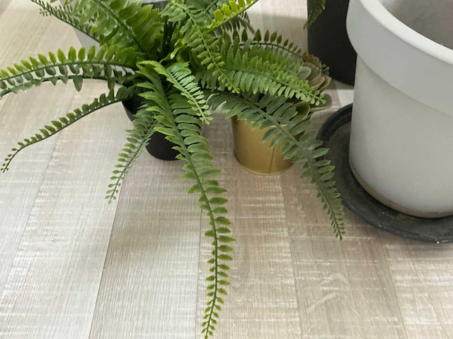Kunststof plant (3x) - afbeelding 4 van  5