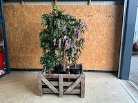 Kunststof plant en boom (5x) - afbeelding 1 van  4