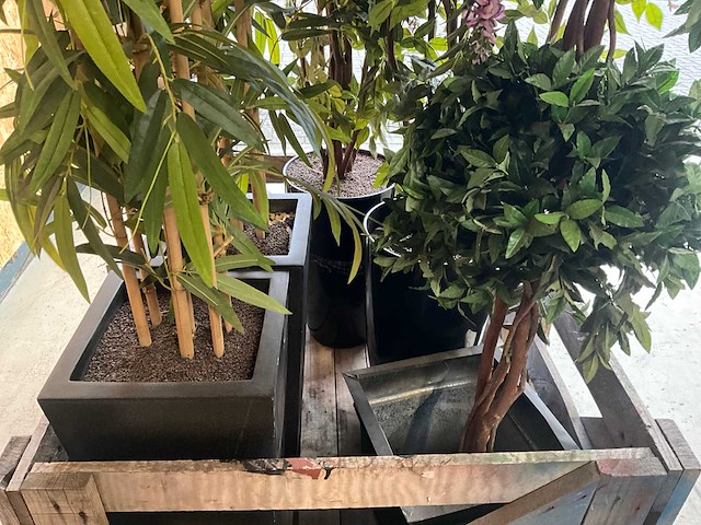 Kunststof plant en boom (5x) - afbeelding 4 van  4