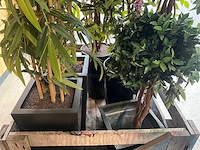 Kunststof plant en boom (5x) - afbeelding 4 van  4