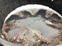 Kunststof plantenbak (24x) - afbeelding 4 van  4