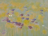 Kunstwerk in lijst, maya wildevuur, bloemenvelden