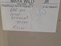 Kunstwerk in lijst, maya wildevuur, compositie - afbeelding 8 van  8