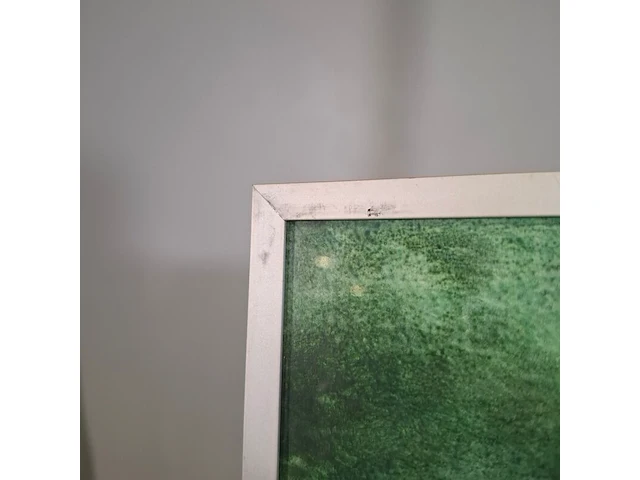 Kunstwerk in lijst, maya wildevuur, geisha op de rug - afbeelding 6 van  8