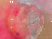 Kunstwerk in lijst, maya wildevuur, 't heelal