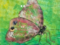 Kunstwerk in lijst, maya wildevuur, vlinder, 1990