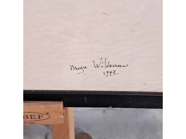Kunstwerk, maya wildevuur, carina, 1994 - afbeelding 3 van  7