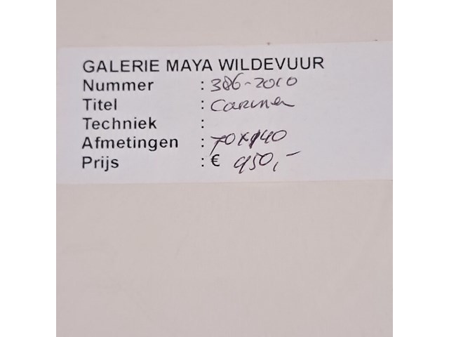 Kunstwerk, maya wildevuur, carina, 1994 - afbeelding 7 van  7