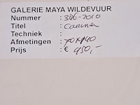 Kunstwerk, maya wildevuur, carina, 1994 - afbeelding 7 van  7