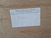 Kunstwerk, maya wildevuur, heelal, 1990 - afbeelding 2 van  10