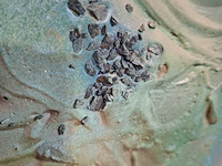 Kunstwerk, maya wildevuur, heelal - afbeelding 5 van  7