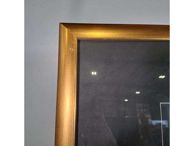 Kunstwerk, maya wildevuur, india - afbeelding 7 van  9