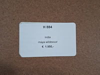 Kunstwerk, maya wildevuur, india - afbeelding 9 van  9