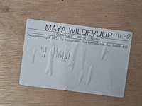 Kunstwerk, maya wildevuur, 't heelal - afbeelding 9 van  9