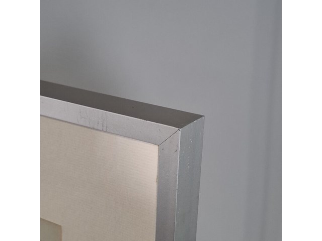 Kunstwerk, maya wildevuur, zijde collage - compositie - afbeelding 9 van  10