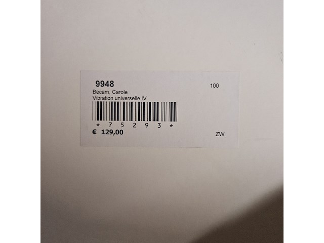 Kunstwerk van kunstenaar carole becam - ''vibration universelle iv'' - afbeelding 4 van  4