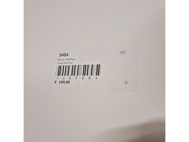 Kunstwerk van kunstenaar matthijs röling - ''vliegoefening'' - afbeelding 5 van  5