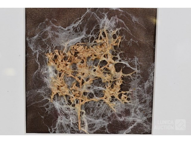 Kunstwerk - afbeelding 2 van  5