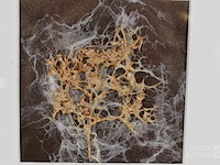 Kunstwerk - afbeelding 2 van  5