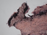 Kunstwerk - afbeelding 3 van  9