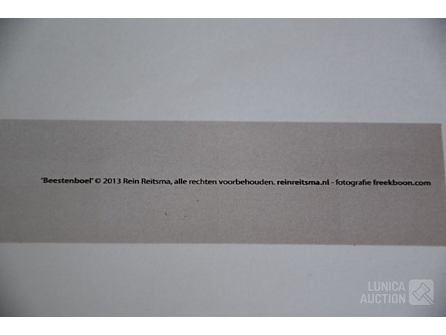 Kunstwerk - afbeelding 7 van  9