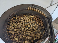 Kurken sluiter, gai, v5s - afbeelding 2 van  11