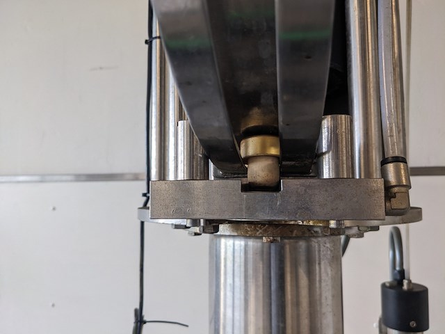 Kurken sluiter, gai, v5s - afbeelding 3 van  11