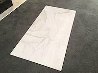 Kutahya adel white gepolijst vloertegel 60x120 cm 120,96 m² - afbeelding 1 van  1