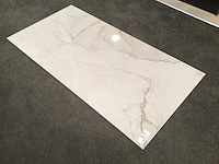 Kutahya adel white gepolijst vloertegel 60x120 cm 60,48 m² - afbeelding 5 van  5