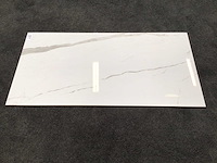 Kutahya albatros gepolijst 60x120 cm tegel 103,68 m² - afbeelding 2 van  5