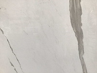 Kutahya albatros gepolijst 60x120 cm tegel 103,68 m² - afbeelding 5 van  5